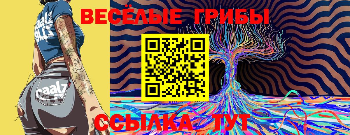 Галлюциногенные грибы Magic Shrooms  Вход с VPN  Кизилюрт  даркнет сайт  Галлюциногенные грибы MAGIC MUSHROOMS 