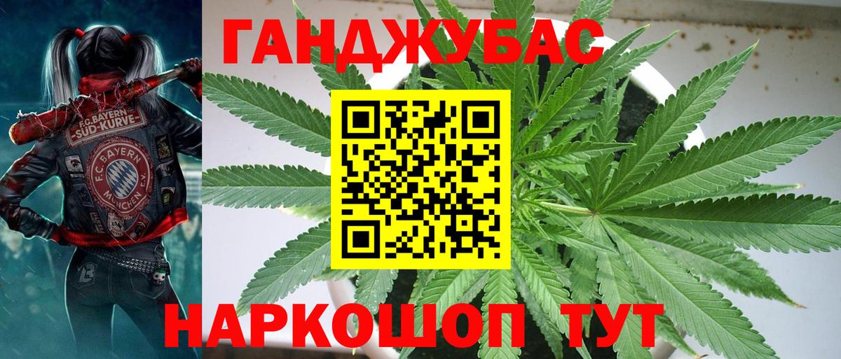 Конопля конопля Кизилюрт